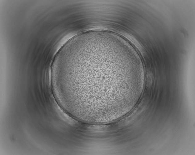 X0000112791290200909041404