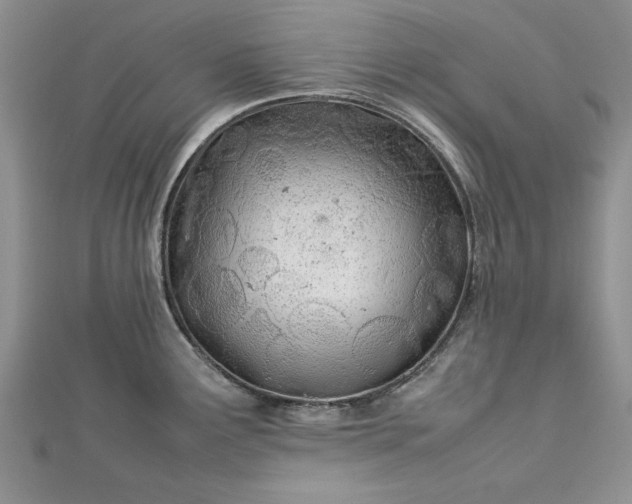 X0000112791291200909041404