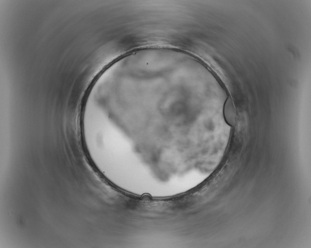 X0000112791293200909041404