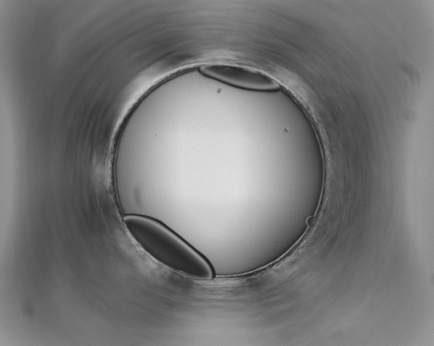 X0000112791296200909041404