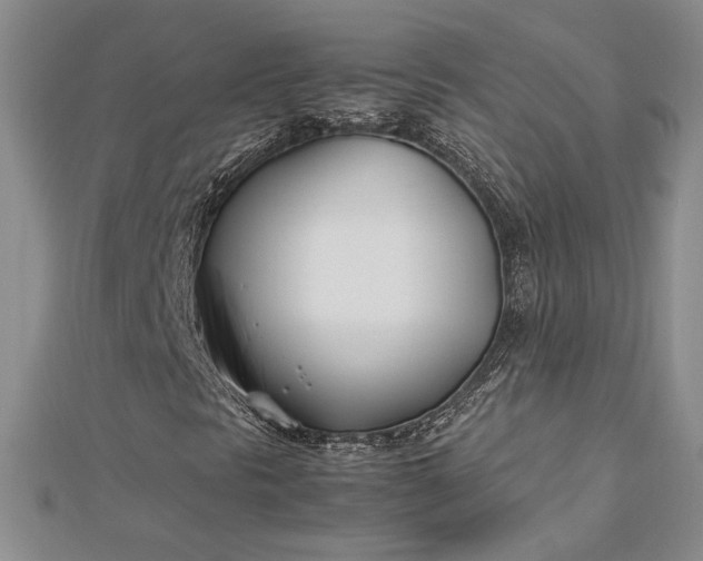 X0000112791297200909041404