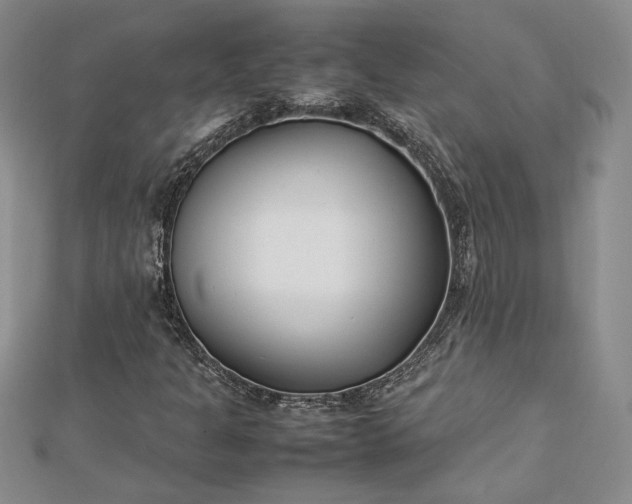 X0000112791301200909041404