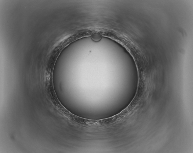 X0000112791302200909041404