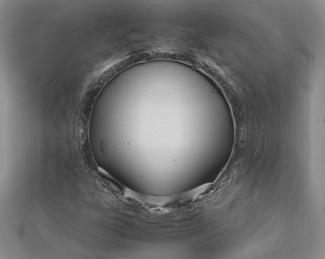 X0000112791303200909041404