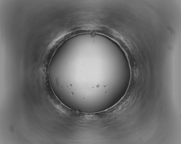 X0000112791304200909041404