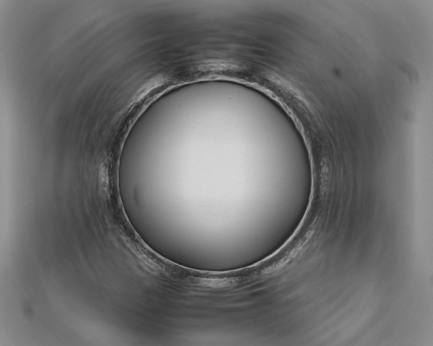 X0000112791305200909041404