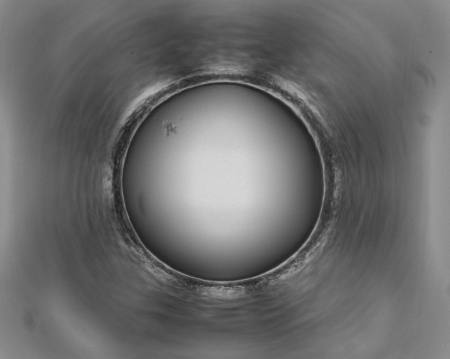 X0000112791307200909041404