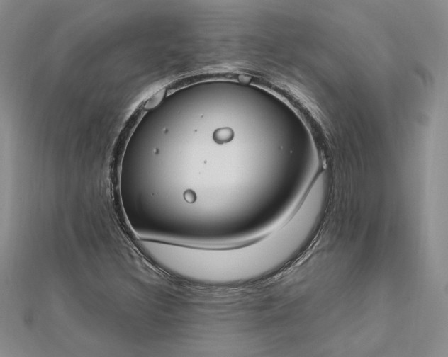 X0000112791308200909041404