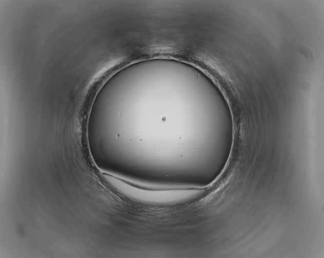 X0000112791309200909041404