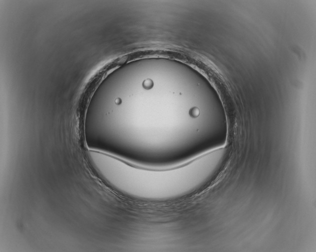 X0000112791310200909041404