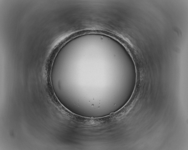 X0000112791311200909041404