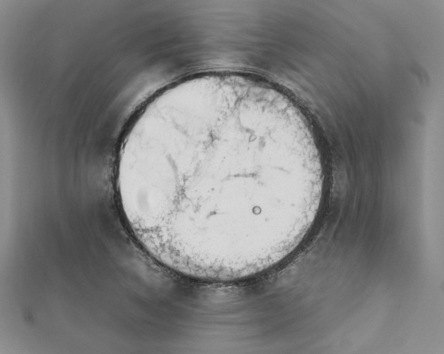 X0000112791314200909041404