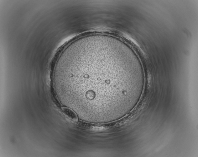 X0000112791315200909041404