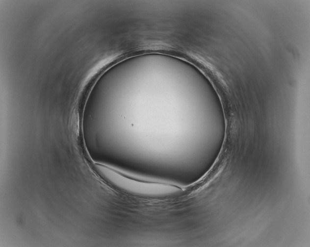 X0000112791317200909041404