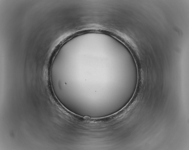 X0000112791318200909041404