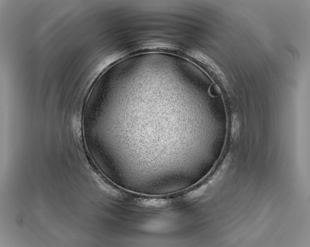 X0000112791321200909041404