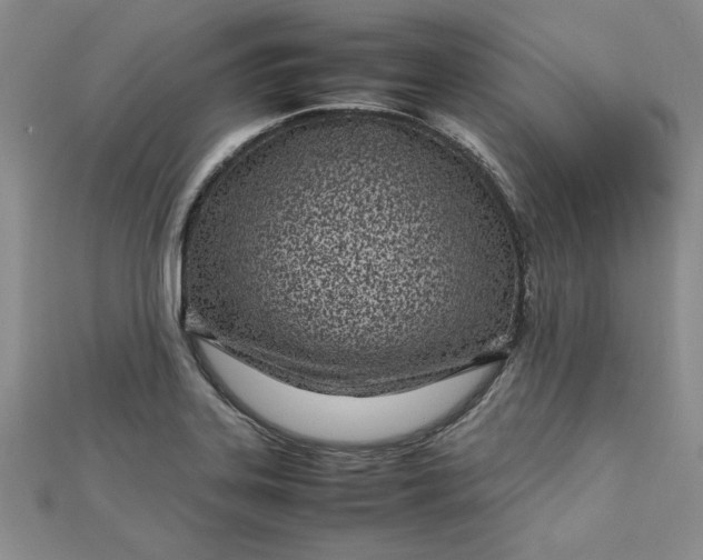 X0000112791323200909041404