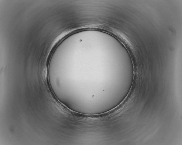 X0000112791324200909041404