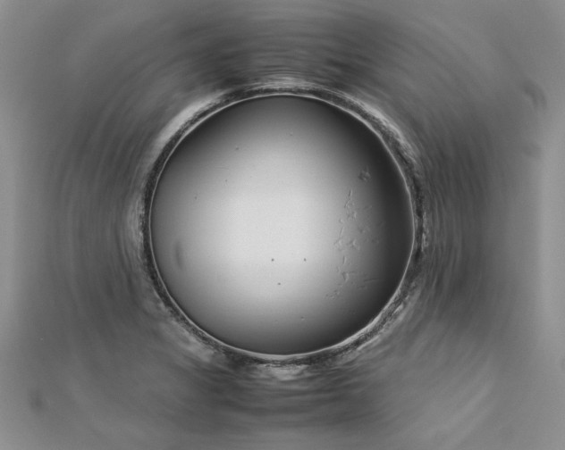 X0000112791325200909041404