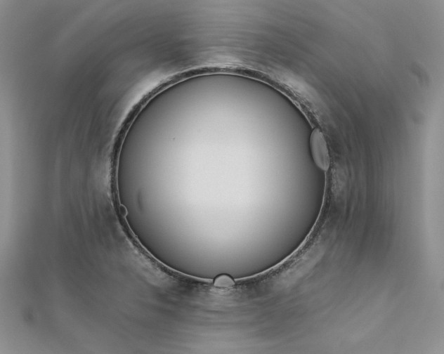 X0000112791326200909041404