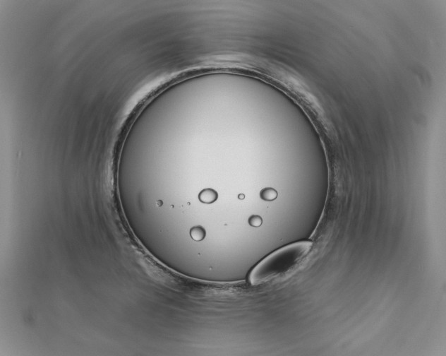 X0000112791328200909041404