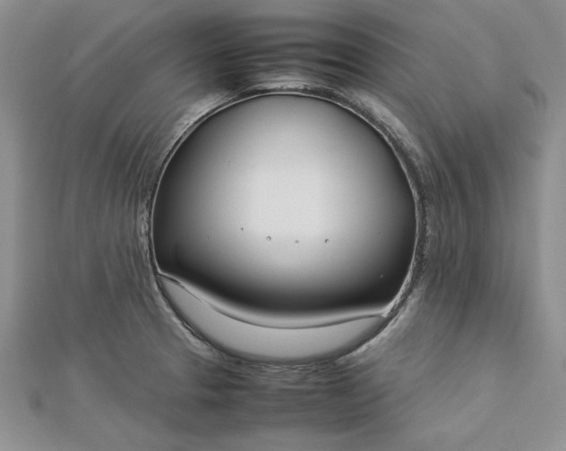 X0000112791329200909041404