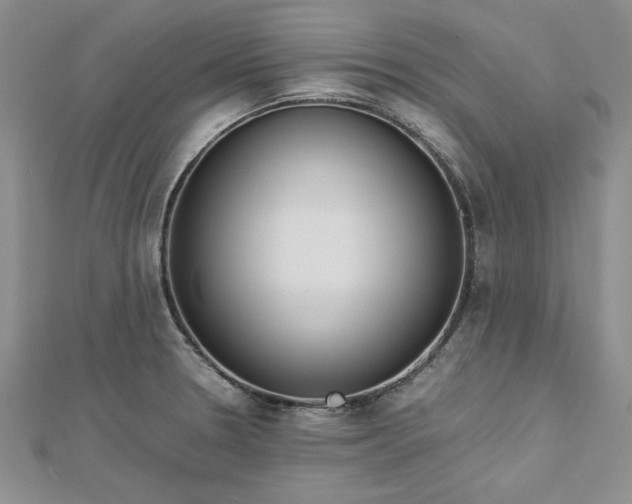 X0000112791330200909041404