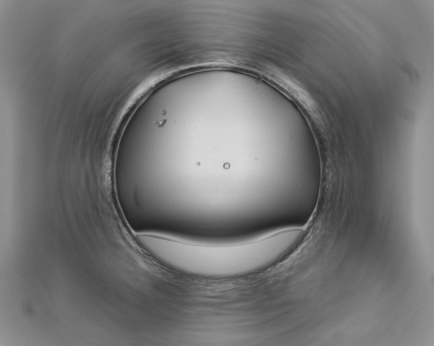 X0000112791332200909041404