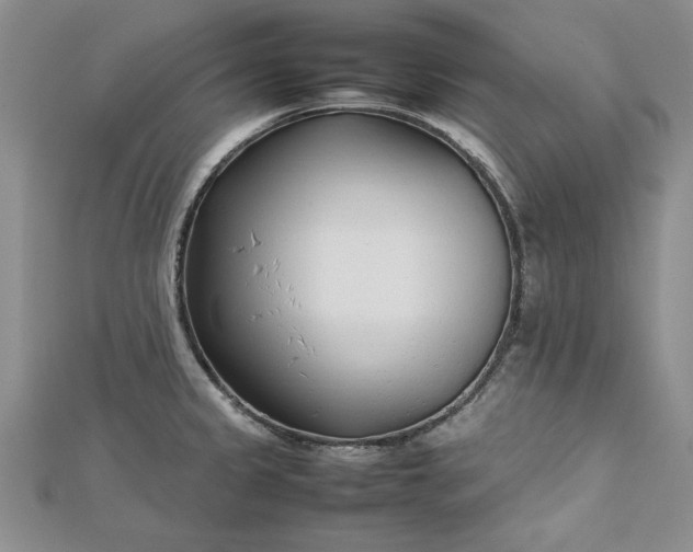 X0000112791333200909041404