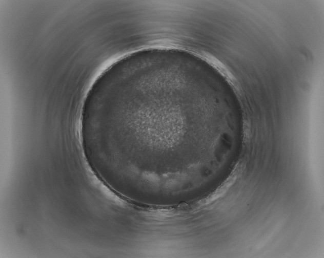 X0000112791334200909041404