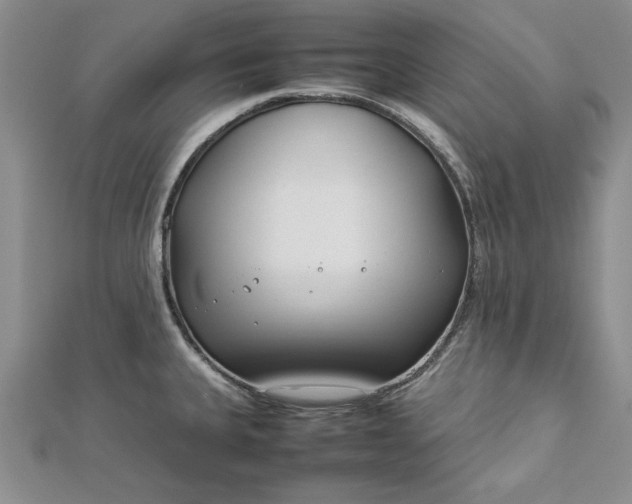 X0000112791335200909041404