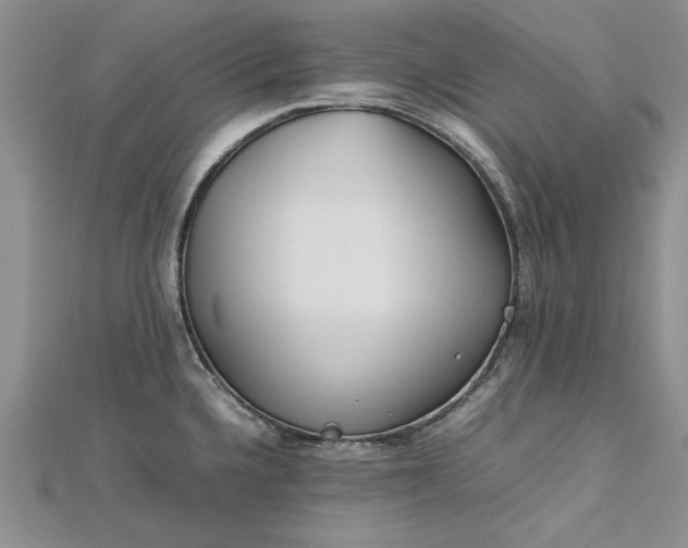 X0000112791336200909041404