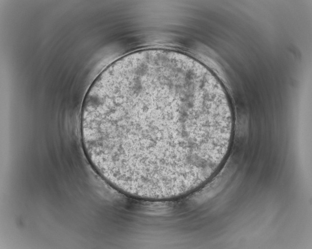 X0000112791338200909041404