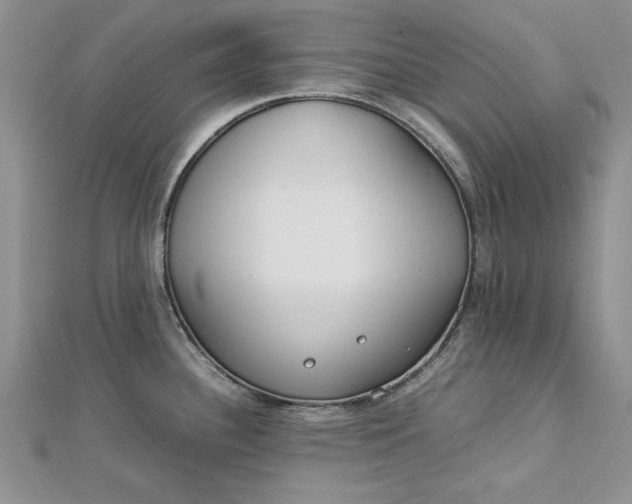 X0000112791340200909041404