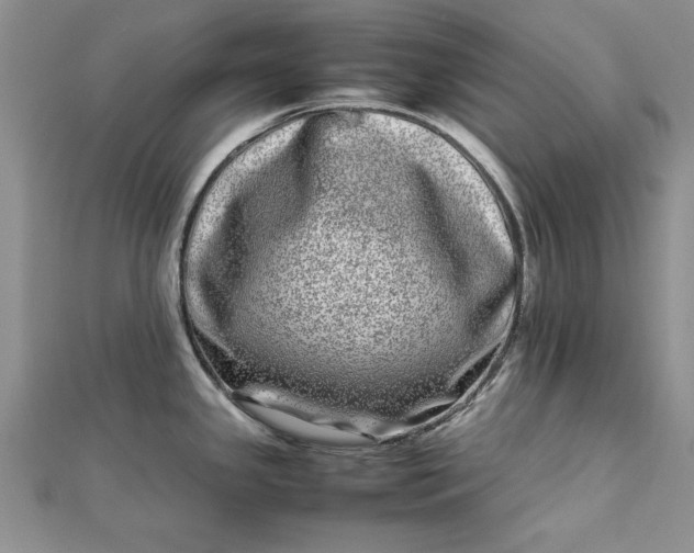 X0000112791341200909041404