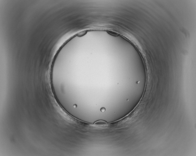 X0000112791344200909041404