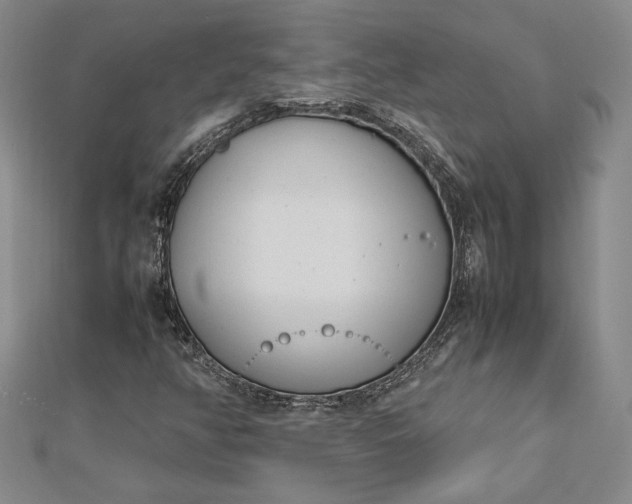 X0000112791350200909041403