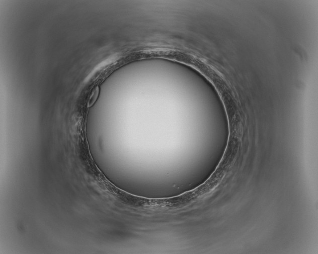 X0000112791351200909041403