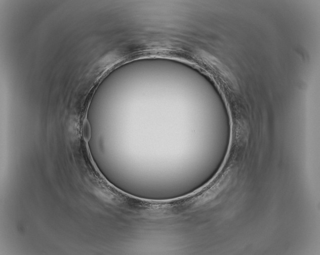 X0000112791353200909041403