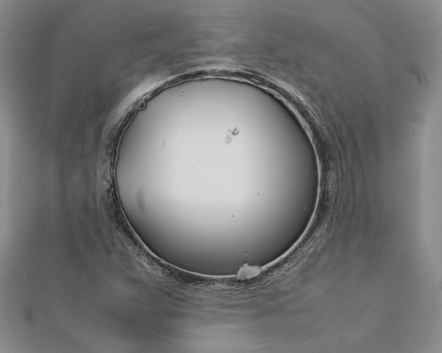 X0000112791359200909041403