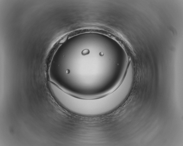 X0000112791360200909041403