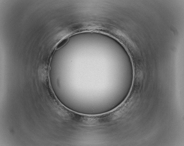 X0000112791361200909041403