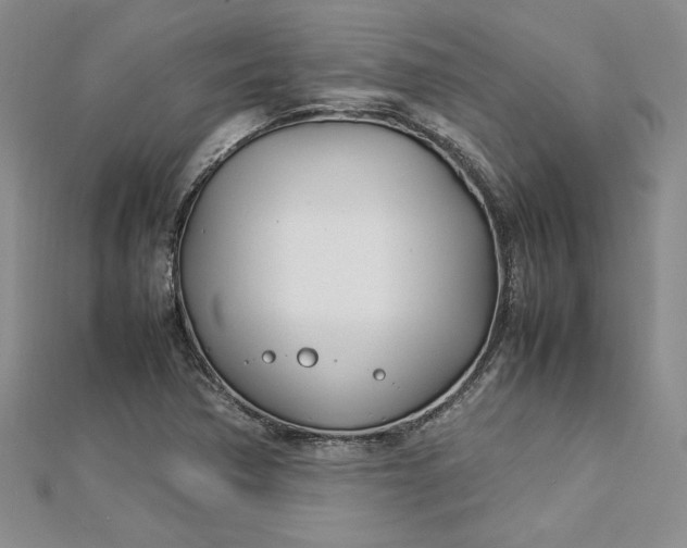 X0000112791362200909041403