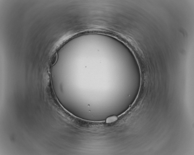 X0000112791363200909041403