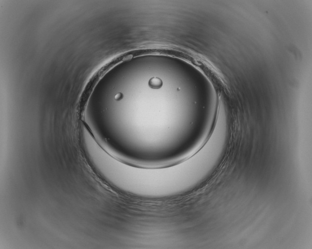 X0000112791364200909041403