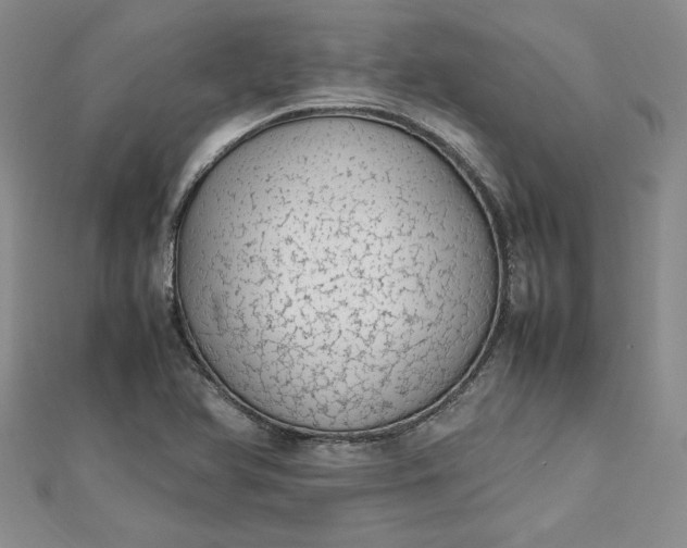 X0000112791366200909041403