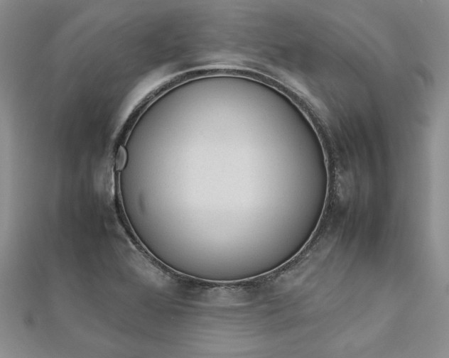 X0000112791368200909041403