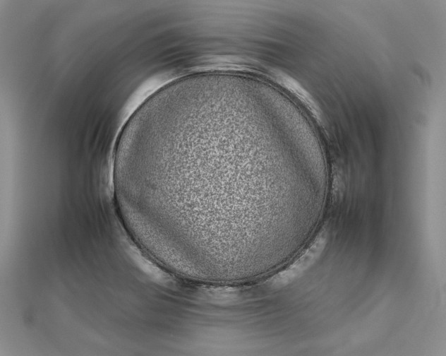 X0000112791370200909041403