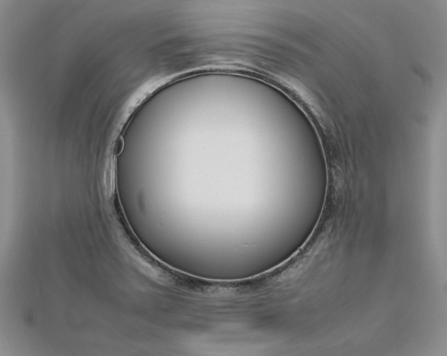 X0000112791371200909041403