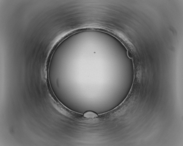 X0000112791372200909041403